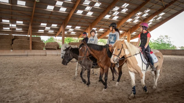 Entraînement équestre