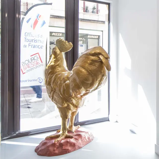 L'office de Tourisme Bourg en Bresse destinations vous acueille au 6 avenue Alsace Lorraine à Bourg en Bresse