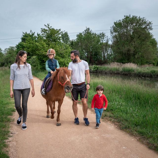 Balade à cheval en Bresse
