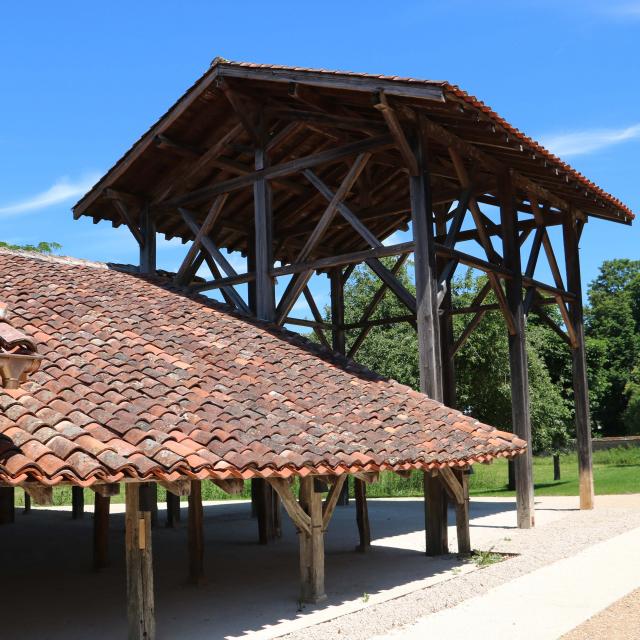 Carroniere