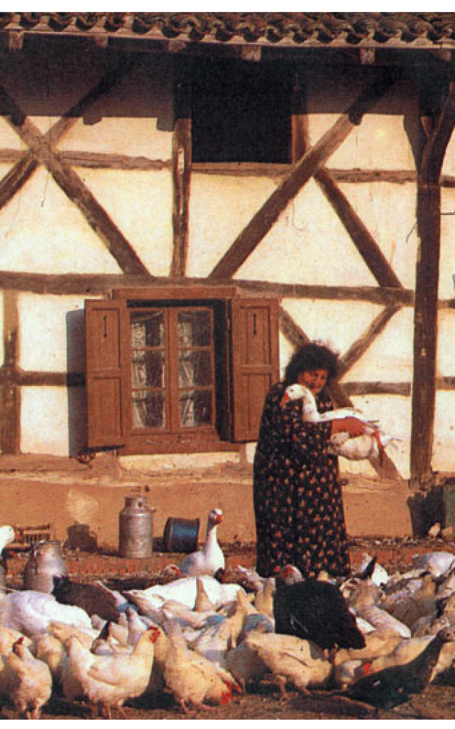 Maria Favier