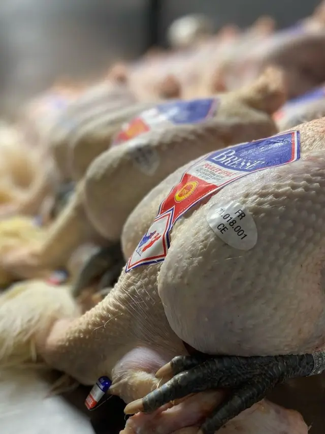 Instagram #pouletdebresse