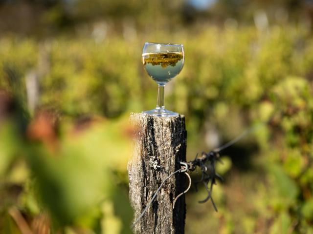 Verre de vin du Bugey