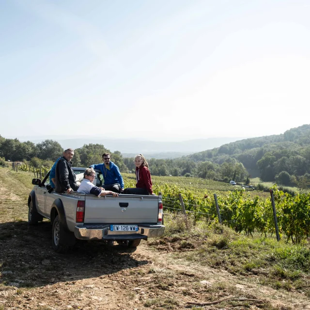 Vendangeurs en voiture vignoble