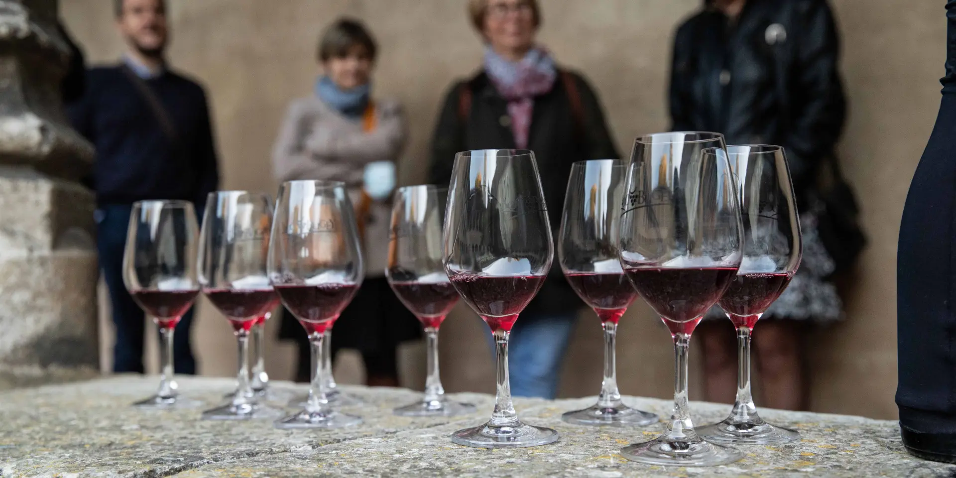 Visite Œnologie à Brou