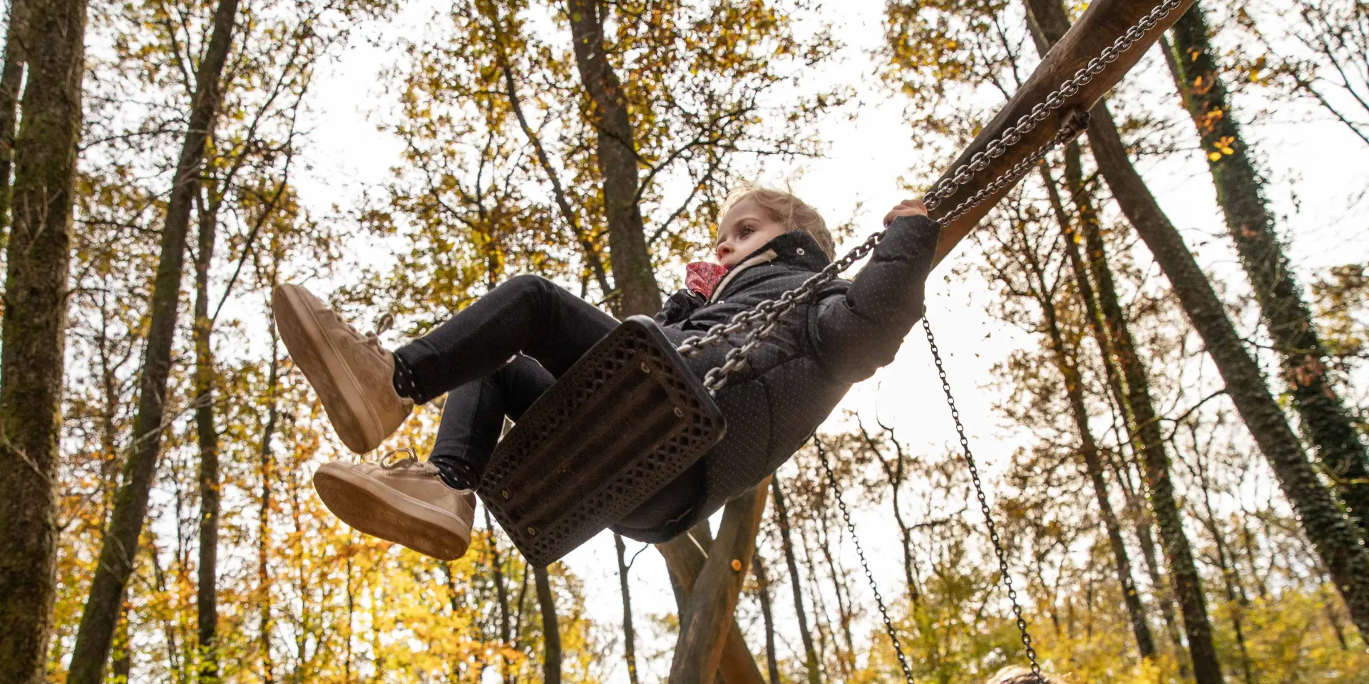 Bbd Seillon Automne 009©morganemonneret