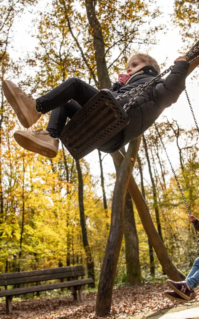 Bbd Seillon Automne 009©morganemonneret