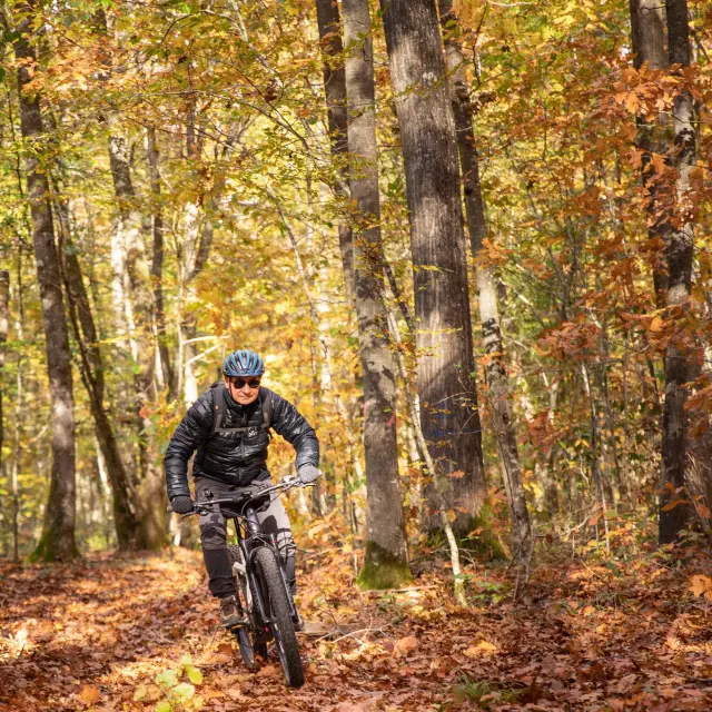 Bbd Seillon Automne 071©morganemonneret