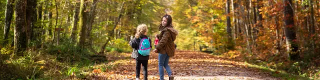 Bbd Seillon Automne 097©morganemonneret