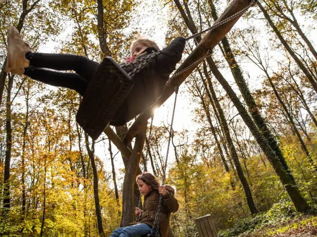 Bbd Seillon Automne 006©morganemonneret