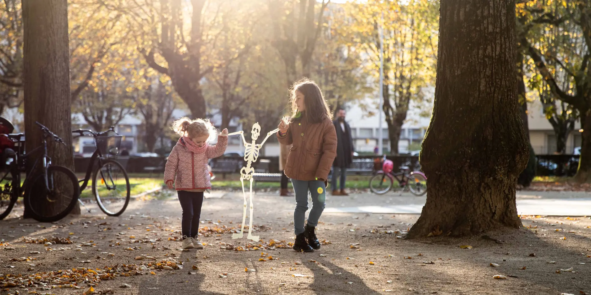 Bbd Bourg Centre Ville Automne 010©morganemonneret