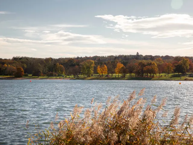 Bbd Bouvent Automne 050©morganemonneret