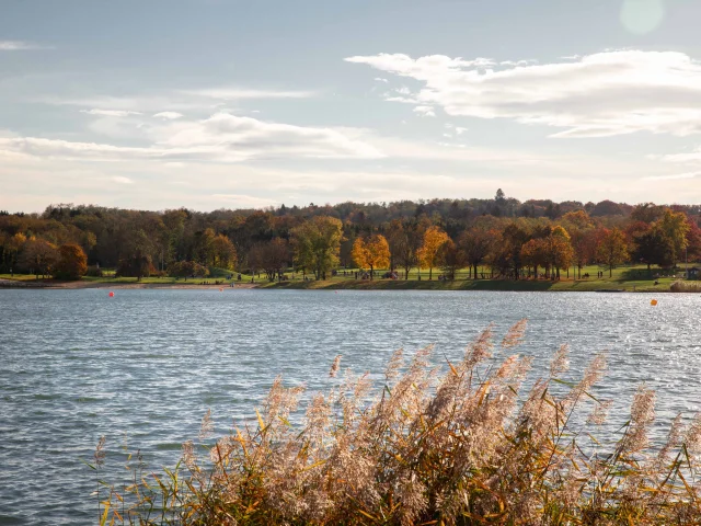 Bbd Bouvent Automne 050©morganemonneret