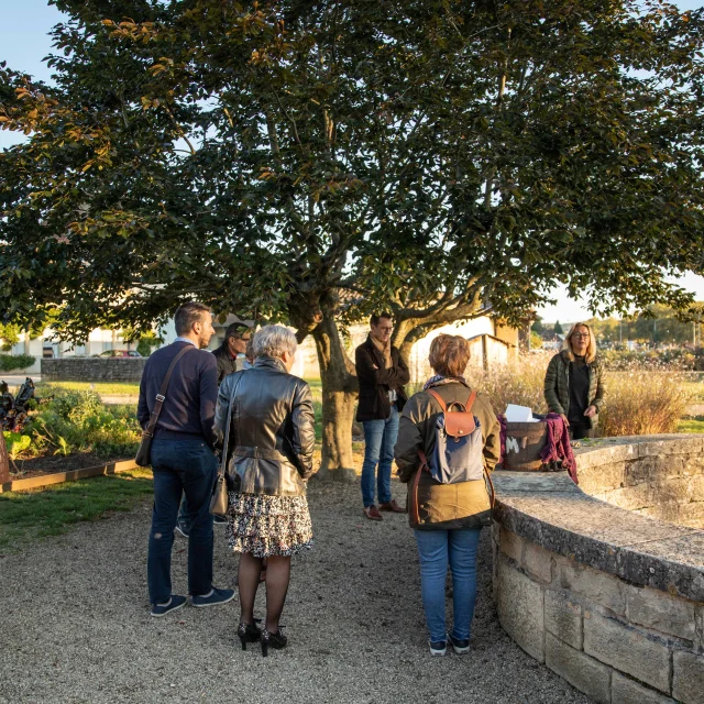 Visite Œnologie à Brou