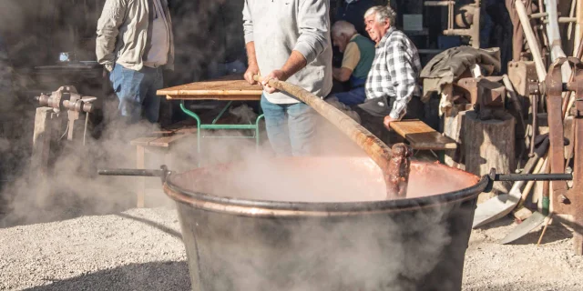 Fête de la paria