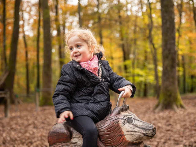 Bbd Seillon Automne 025©morganemonneret