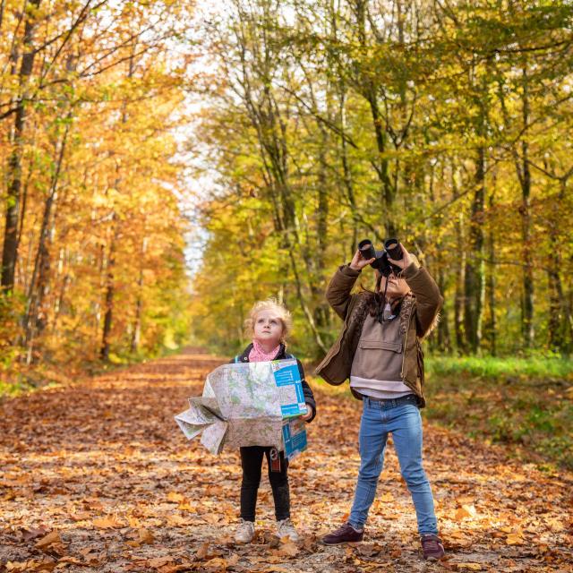 Bbd Seillon Automne 057©morganemonneret