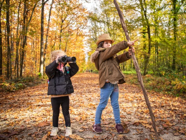 Bbd Seillon Automne 065©morganemonneret