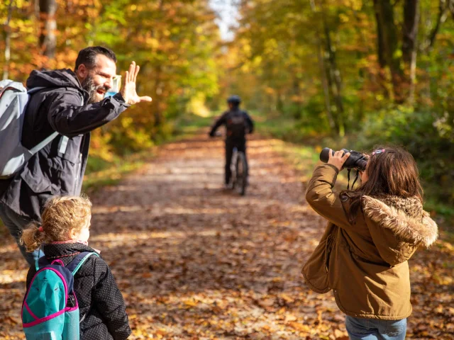 Bbd Seillon Automne 075©morganemonneret