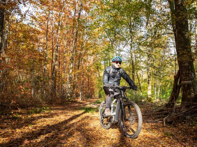 Bbd Seillon Automne 082©morganemonneret