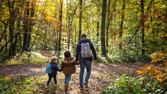 Bbd Seillon Automne 091©morganemonneret