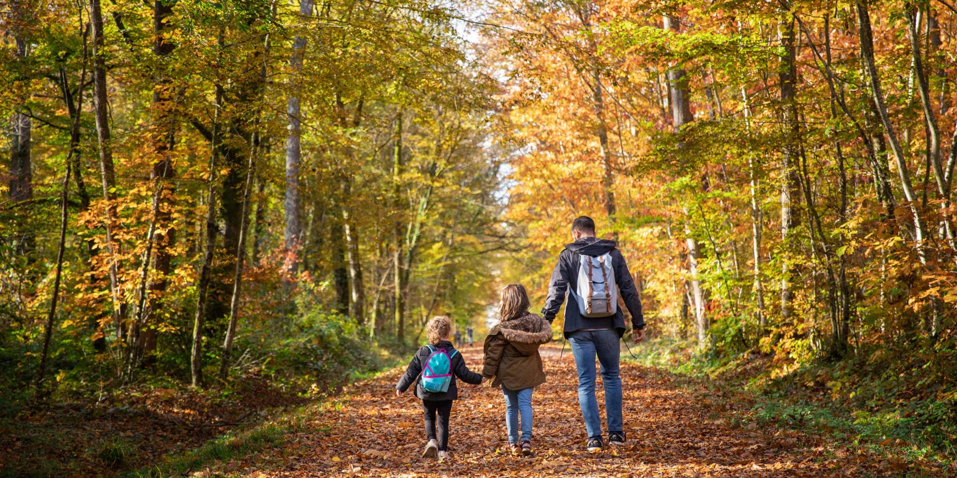 Bbd Seillon Automne 094©morganemonneret