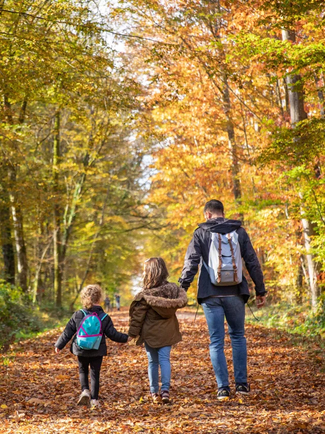 Bbd Seillon Automne 094©morganemonneret