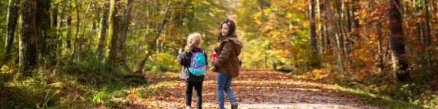 Bbd Seillon Automne 097©morganemonneret