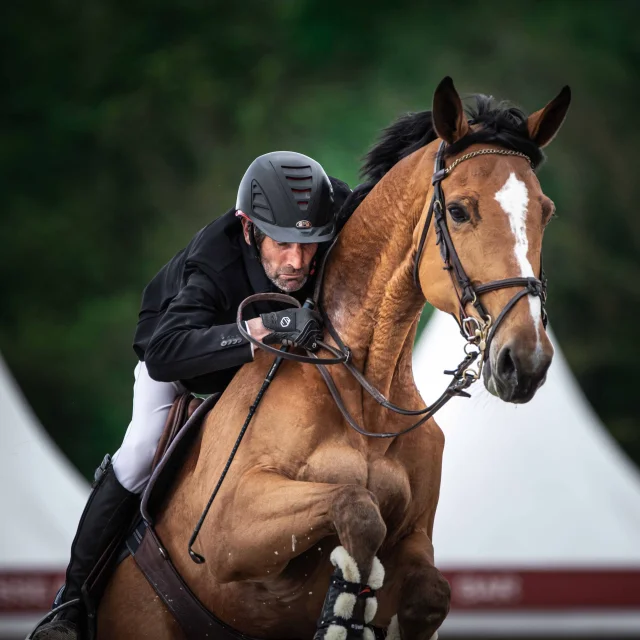 Concours équestre à Bourg en Bresse - Jumping International 2021 de Bourg - Office de Tourisme Bourg-en-Bresse destinations