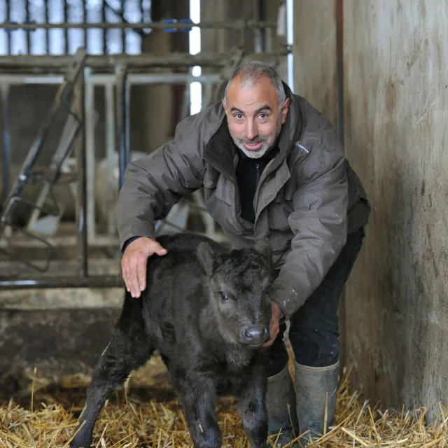 Kamakle Boeuf De Kobé