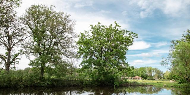 paysage de la plaine de Bresse au printemps à proximité de Bourg-en-Bresse
