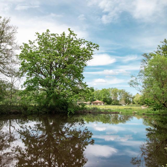 paysage de la plaine de Bresse au printemps à proximité de Bourg-en-Bresse