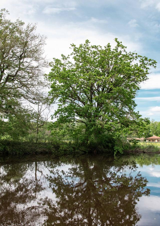 paysage de la plaine de Bresse au printemps à proximité de Bourg-en-Bresse