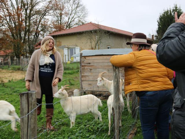 Visite Legend Du Mohair