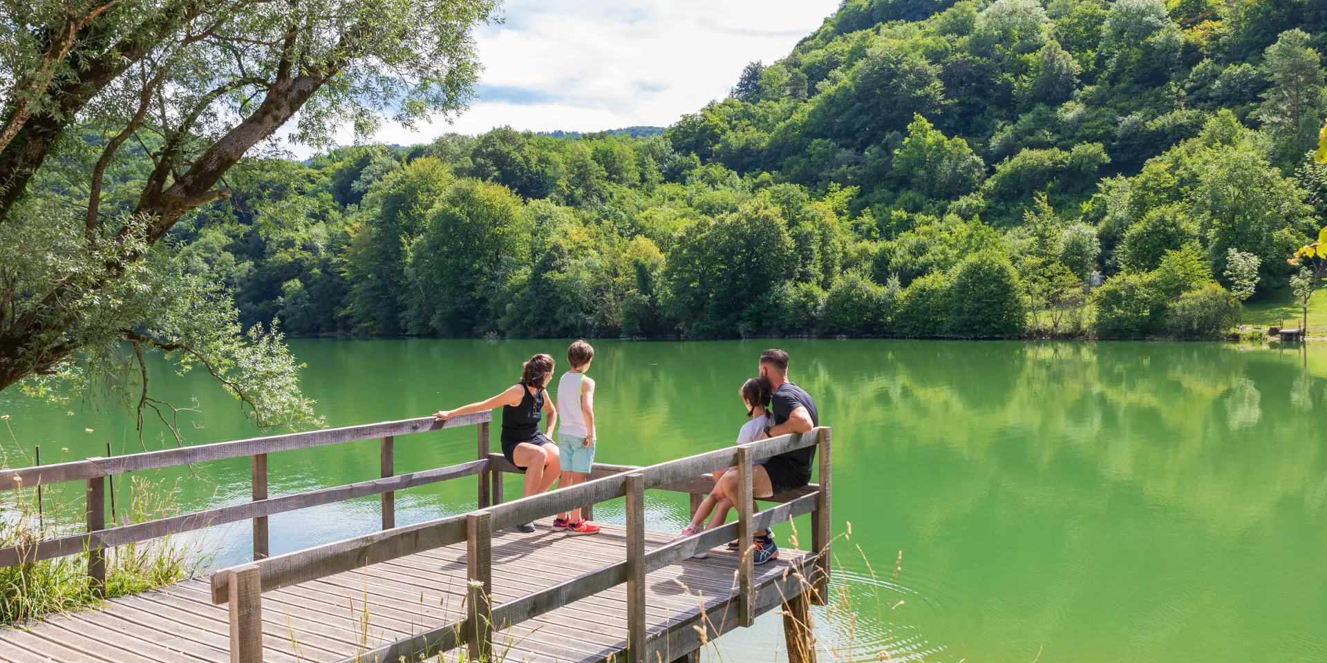 Bords Rivière D'ain(5)©pierre Jayet