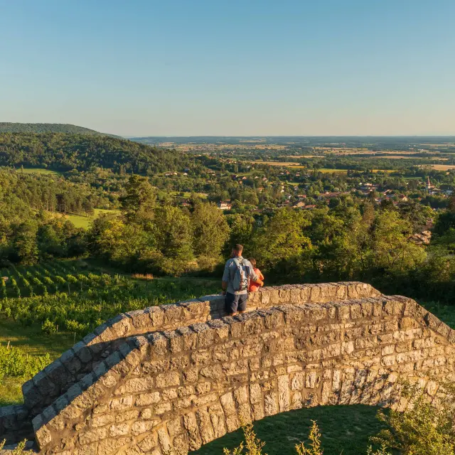 Passerelle Des Vendangeurs Ceyzériat(19)©pierre Jayet