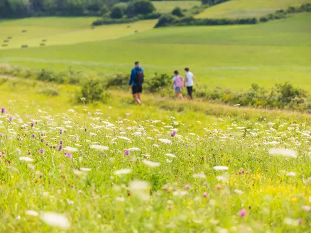 Randonnée Plateau D’arnans(5)©pierre Jayet