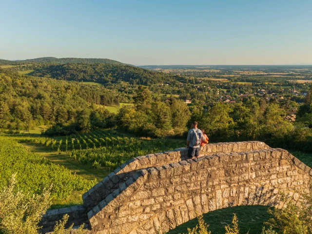 Passerelle Des Vendangeurs Ceyzériat(19)©pierre Jayet