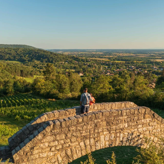 Passerelle Des Vendangeurs Ceyzériat(19)©pierre Jayet