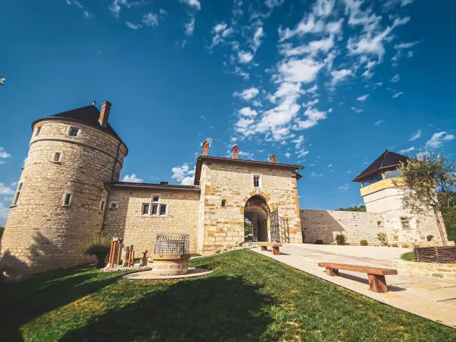 Façade Château De Treffort