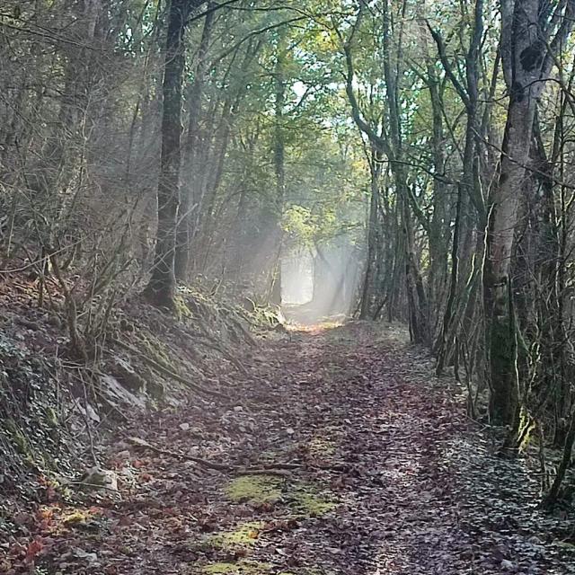 Instagram #revermont