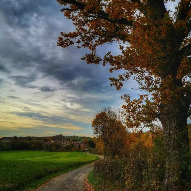 Instagram #revermont