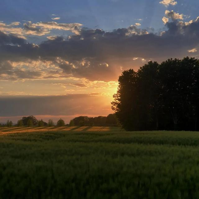 Instagram #bresse