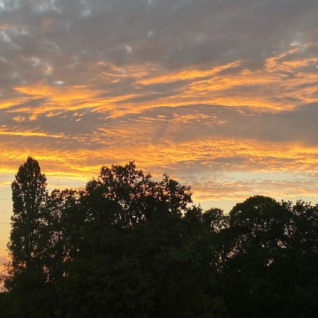 Instagram #bresse