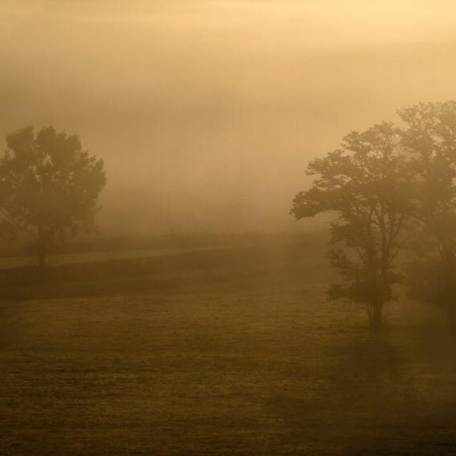 Instagram #revermont
