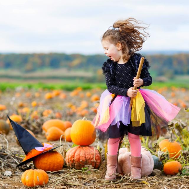 Cute little kid girl wearing halloween witch costume having fun on a pumpkin patch. Traditional family festival with children. Happy child