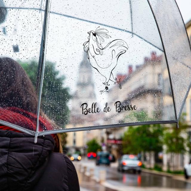 Instagram #bourgenbresse