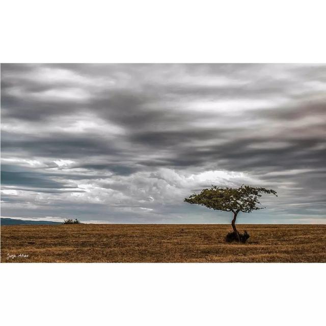 Instagram #revermont