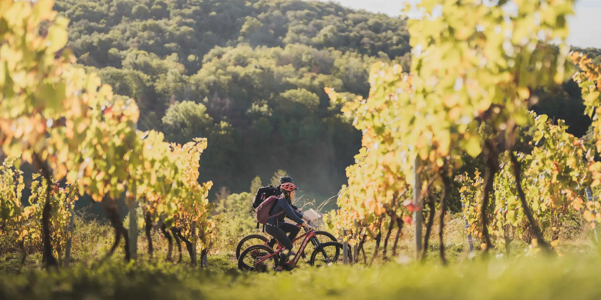 Week End Bourg Et Revermontmizenboite–montagnes Du Jura 11