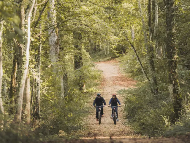 Week End Bourg En Bresse Revermontmizenboite Bourg En Bresse Destinations 33